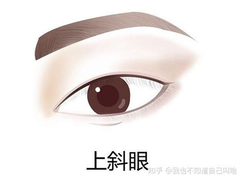 瑞鳳眼女|中国人常见的10种眼型，你是哪一种？